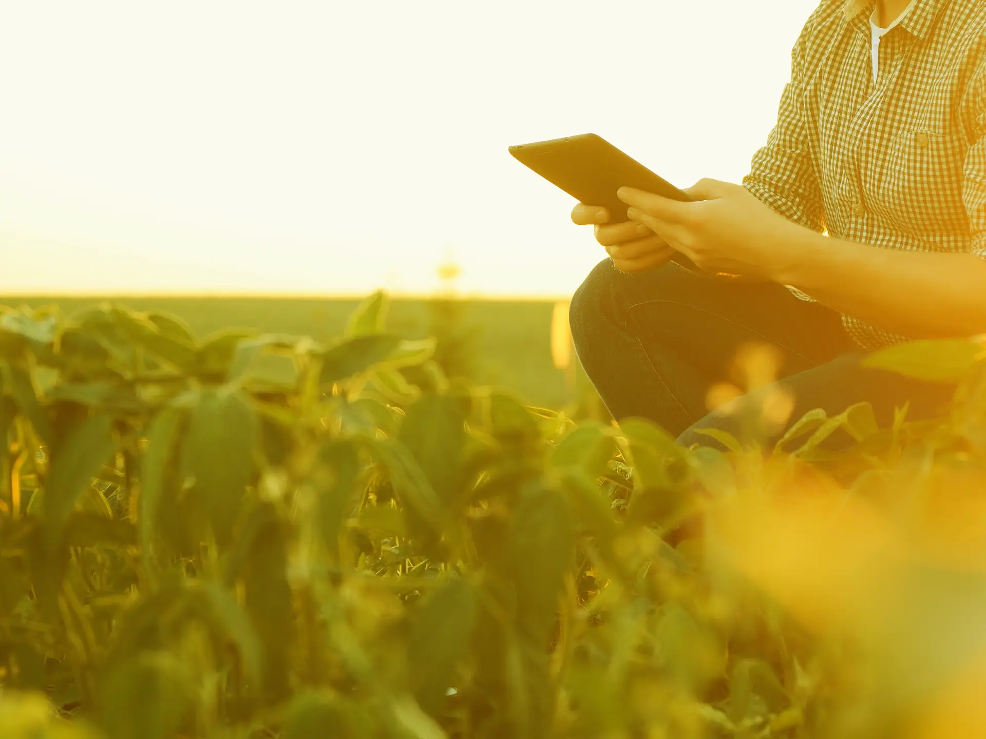 <span>Informação</span> e acompanhamento em tempo real, em qualquer hora e lugar