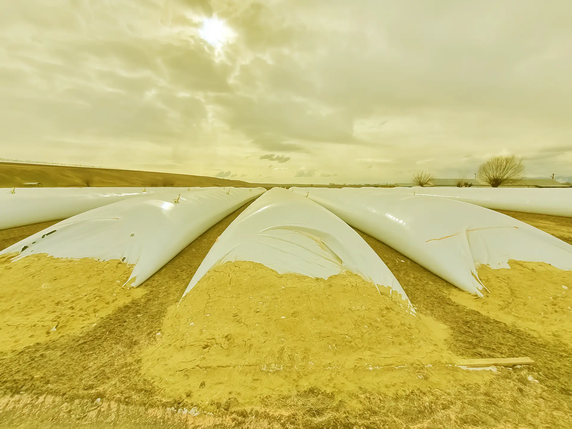 <span>Monitoramento</span> de silos bolsa, qualidade e segurança dos grãos armazenados