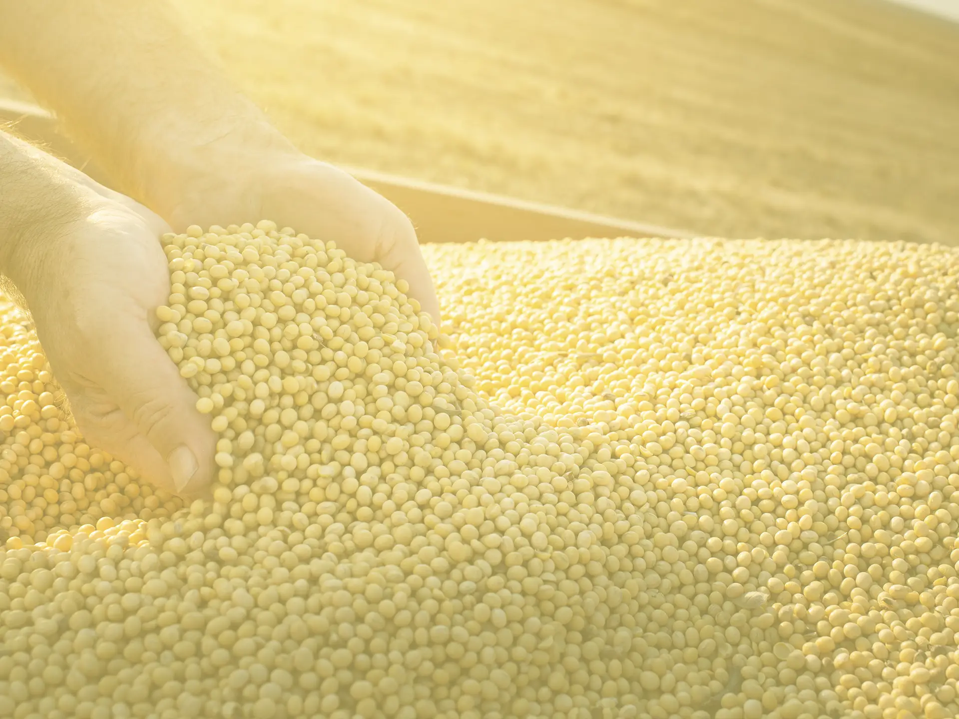 <span>Tecnologia</span> a serviço do campo, garantia de conservação e integridade dos produtos